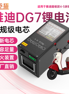 适用雅迪冠能DG7智趣版铅酸改锂电池外卖TDT1346Z/48V60V大电瓶车