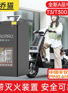 乔猫深远T3/T3S/T300/535T系列直上锂电池72V60V48V蓄电池电瓶