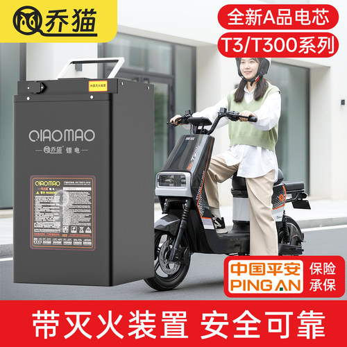 深远T3/T300直上锂电池72V60V48V