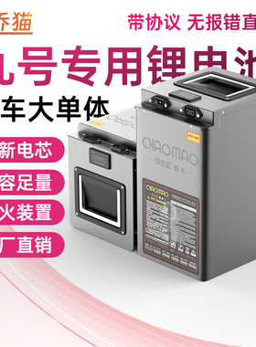 适用于九号电动车锂电池A2zM95C/A35+/F90M/F35/MMax机械师F2z