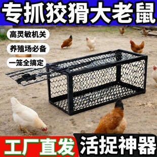 防黄鼬神器养鸡鸭舍养殖场防黄鼠诱抓捕硫磺驱赶的克星不伤家畜