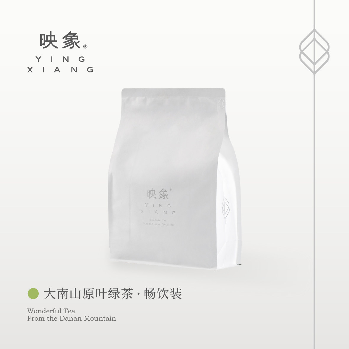 映象绿茶南松煮豆高档伴手礼盒装