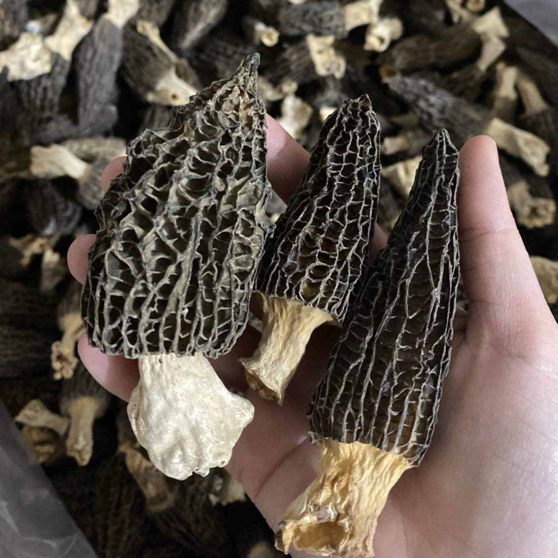羊肚菌干货非特级野生500g新鲜菌菇煲汤干货食材礼盒云南旗舰店