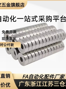 BLS65/66-A8-T2-T3-A10-T3-T4-T4.5磁铁 螺