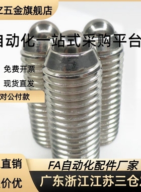 标准型球头柱塞BSJF/BPW3/4/5/6/8/10/12/16不锈钢波