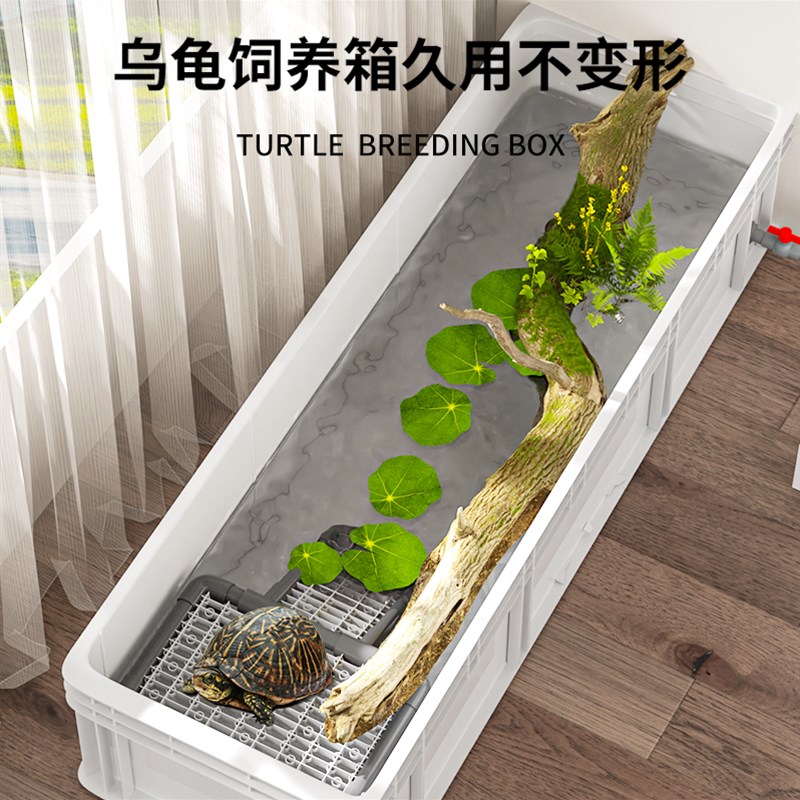乌龟发色盒养龟繁殖箱微景观生态箱塑料鱼缸龟缸乌龟饲养盒生态瓶
