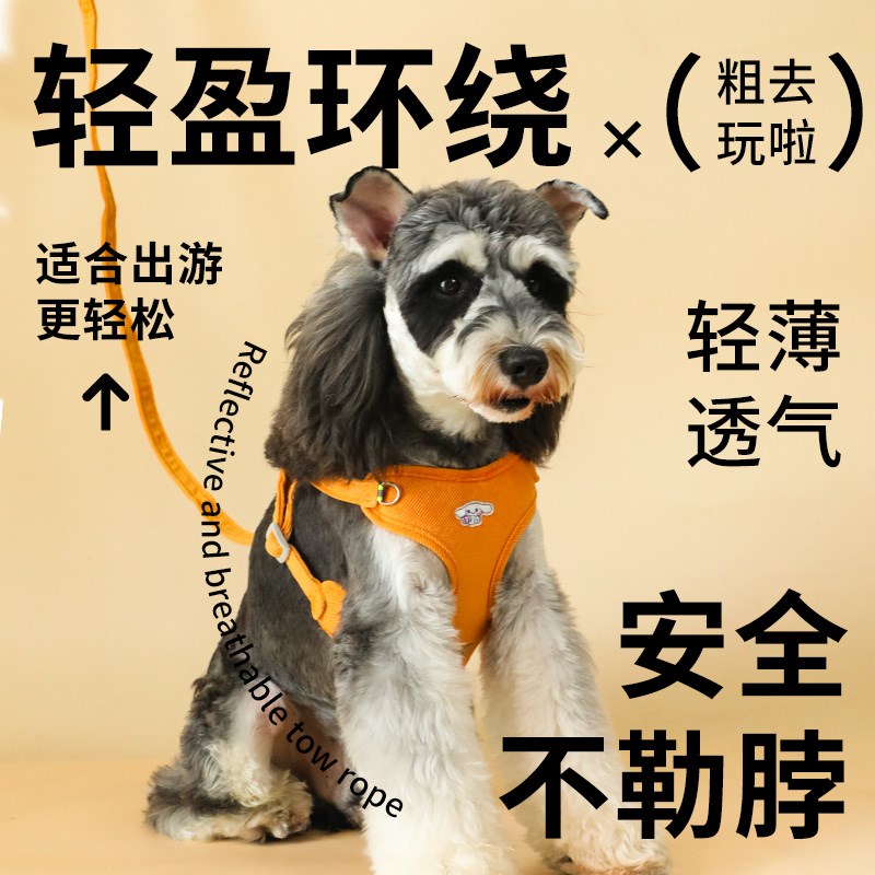 雪纳瑞牵引绳幼犬遛狗绳宠物狗狗外出拴狗绳防挣脱遛狗绳子