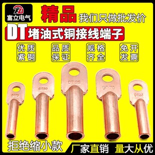 185 240G堵油铜鼻子紫铜接线端子电缆接头线 国标DT