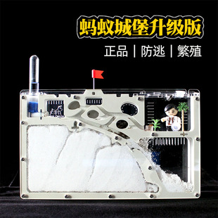 蚂蚁窝 蚂蚁工坊宠物笼子蚂蚁城堡新型养蚂蚁繁殖蚁巢亚克力沙巢