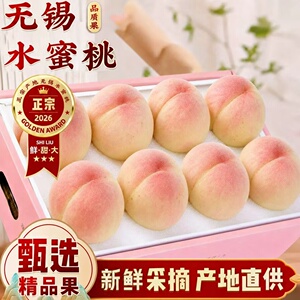 正宗无锡水蜜桃头茬湖景撕皮爆汁