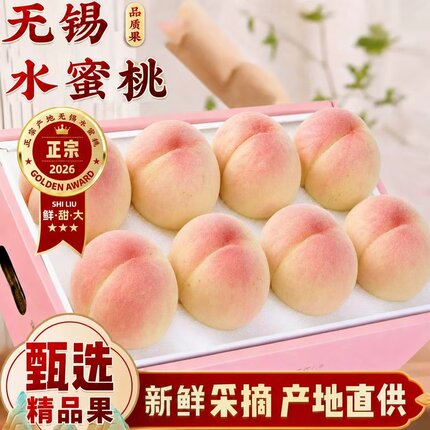 无锡阳湖景水蜜桃日川白凤放软撕皮爆汁新鲜甜香桃当季时令水果山
