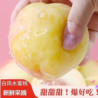 正宗无锡水蜜桃头茬湖景撕皮爆汁