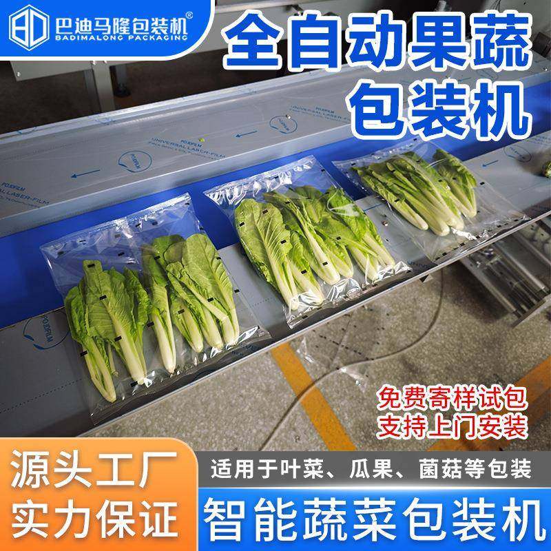 生鲜瓜果蔬菜枕式包装机多功能菜心白菜油麦菜全自动套袋打包机