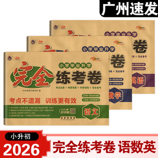 2026新版小学毕业升初完全练考卷语文数学英语五六年级小学升初中备考专项真题试卷56年级备考总复习68所教学