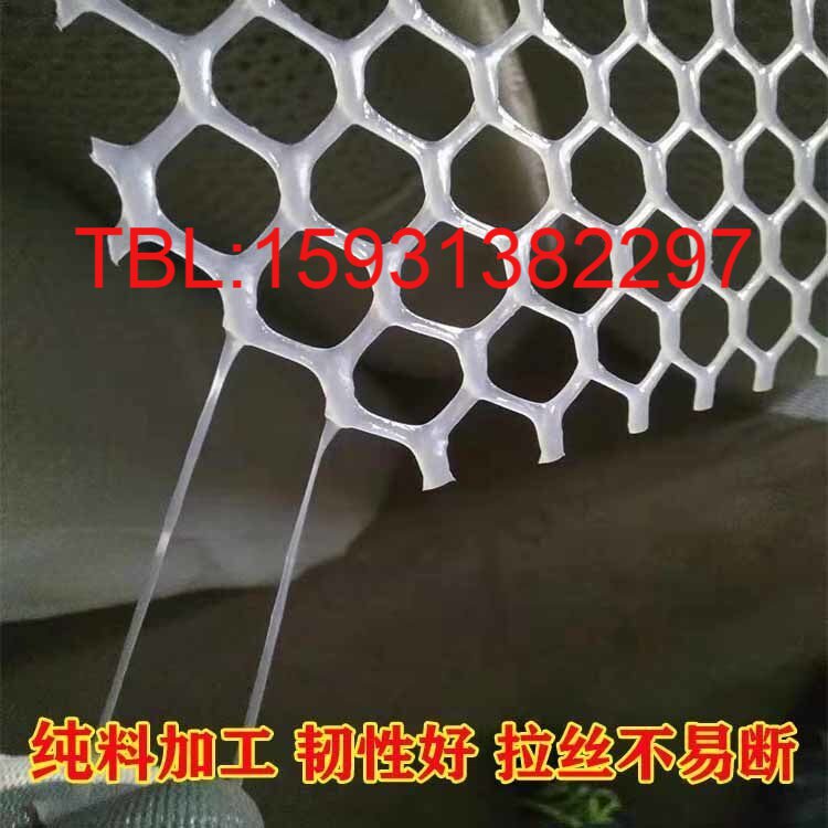 加厚养殖塑料养蜂网小孔围栏网鸡鸭鹅漏粪脚垫网阳台安全防防坠网