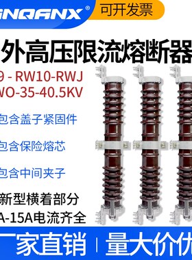 RW10/RXWO-35KV/0.5A-1-10AA-15新型PT保护RW9/高压限流熔断器40.