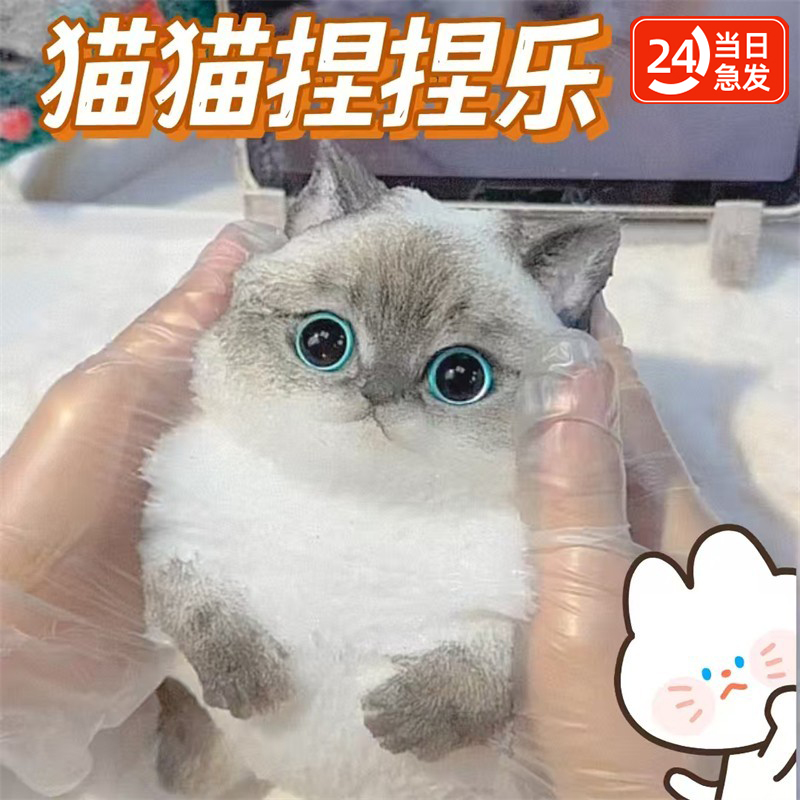 【官方正品】仿真猫咪解压捏捏乐