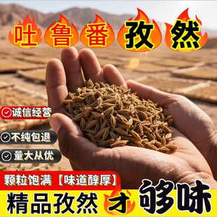 新疆孜然正宗孜然粒半颗粒纯孜然粉新货商用烧烤撒蘸腌料羊肉串