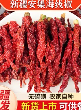 新疆辣皮子安集海特产干辣椒