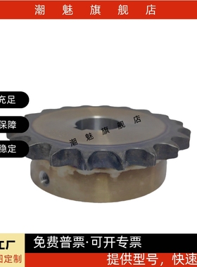 链轮 BSP60B SSP60B SP80B FBN100B 12A 16A 20A