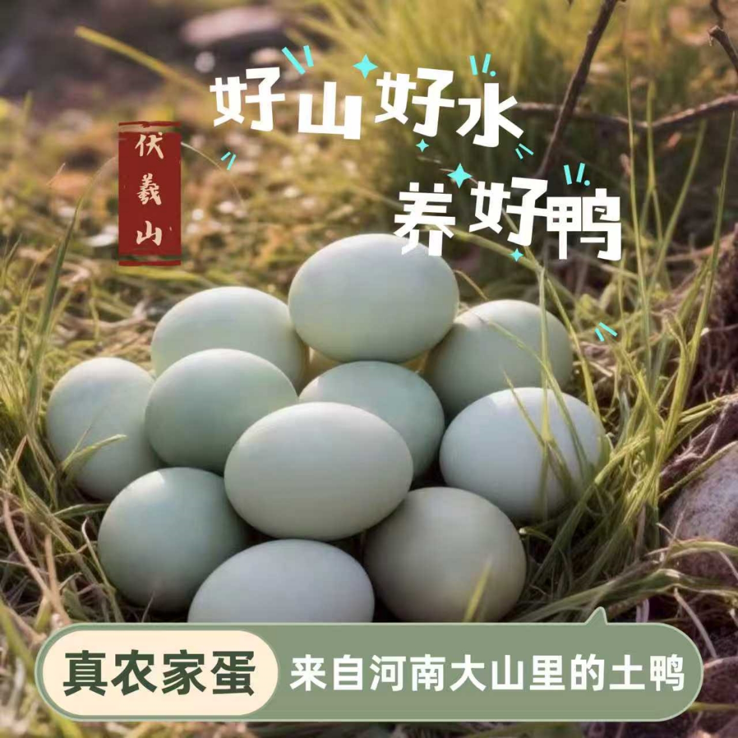 河南新鲜鸭蛋农家散养蛋生土鸭蛋