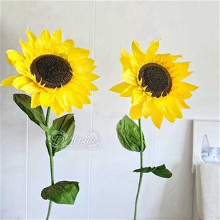 大型花艺术花杆可弯曲造型婚庆气球装饰拱门铝塑管白色PVC管子