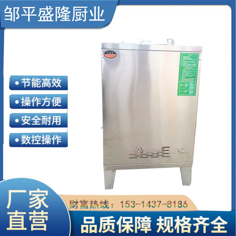 蒸汽发生器商用燃气煮浆蒸馒头酿酒电蒸汽机40Q火排不锈钢节能锅