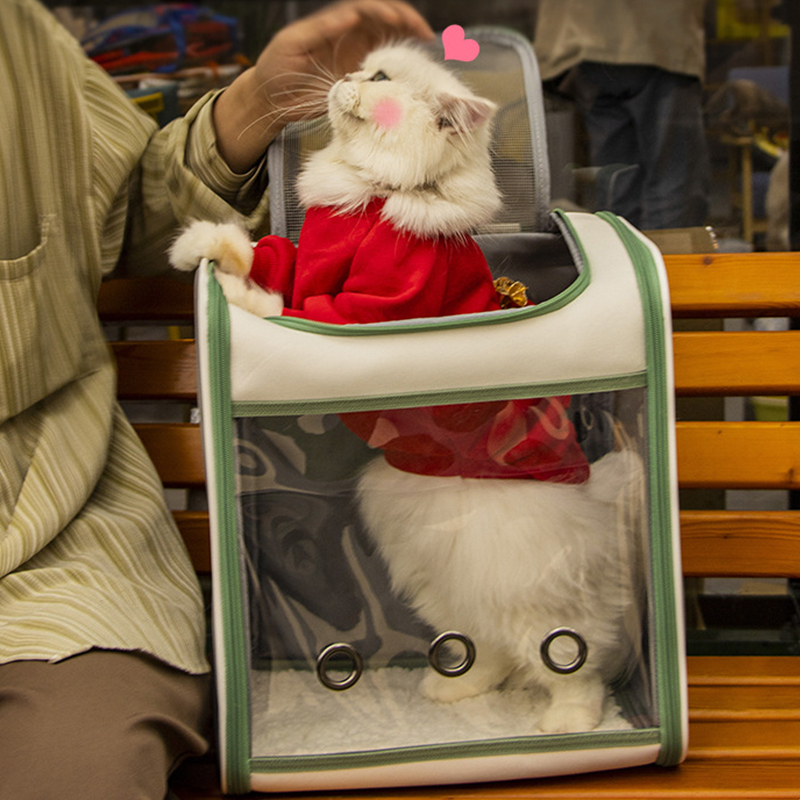 猫包双肩宠物外出便携大容量狗狗中小型犬可折叠透气夏手提拎背包