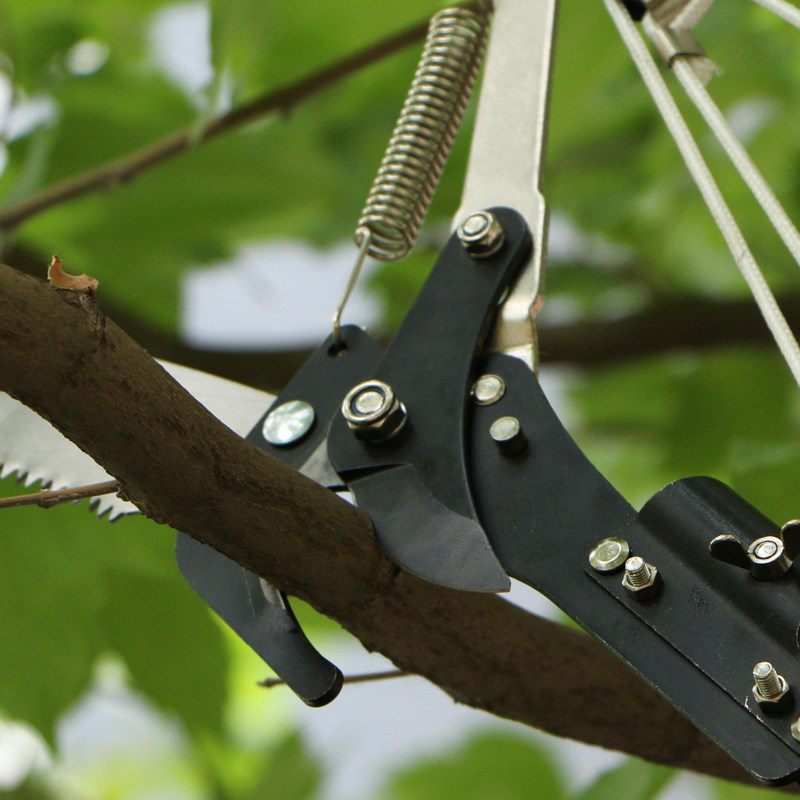 高枝剪高空锯树枝带加长伸缩杆摘槐米香椿槐花柿子果树修剪刀工具
