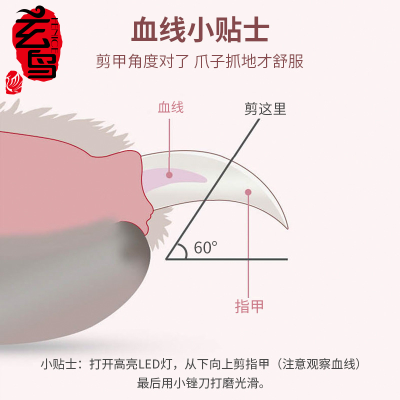 玄鸟宠物狗狗猫咪小型指甲剪锉刀用品LED灯光照血线新手专用工具