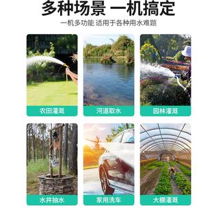 直流自吸泵12V24V抽水机48V60V电动车抽水泵家用灌溉大流量电瓶泵