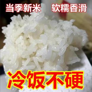 新货24年乡途兴化大米江苏20斤新米5055南粳9108香软糯10斤晚粳米