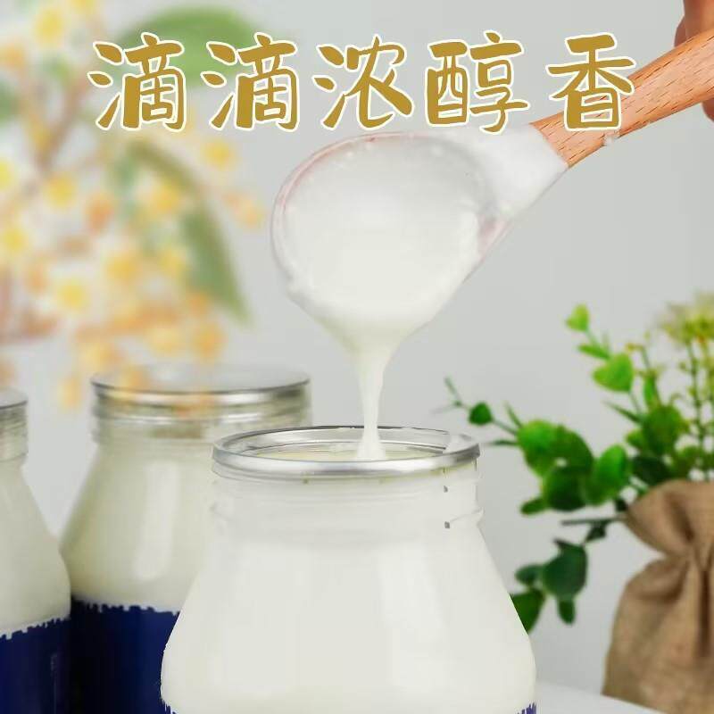 新货北国八千里酸奶奶皮子酸奶蒙经典酸奶手工原味大桶酸奶发酵乳