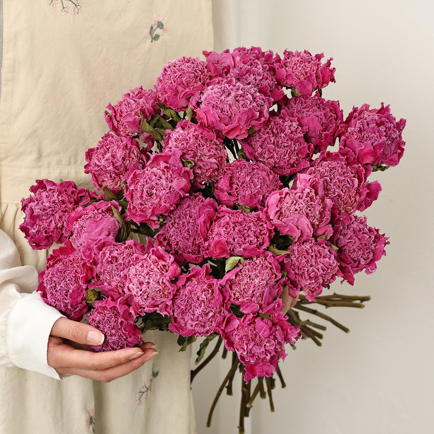 中古粉芍药干花花束客厅装饰摆件干鲜花永生花天然风干高级感真花