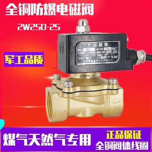 1寸防爆电磁阀 DN25 防爆瓦斯阀2W250-25瓦斯防爆气阀 220V 24V