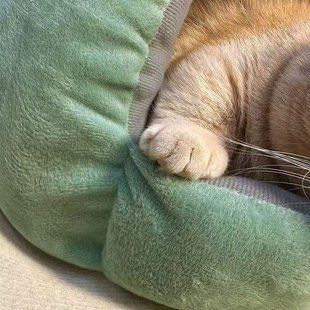 全包围猫窝冬天保暖封闭式 通用猫咪用品大全 安全感猫屋床狗窝四季