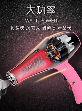 TOBY专业宠物吹风机狗狗猫咪专用吹毛机大功率冷热强风低噪音防滑