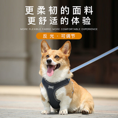 柯基狗狗牵引绳背心式中型大型犬边牧萨摩耶阿拉斯加宠物狗胸背带