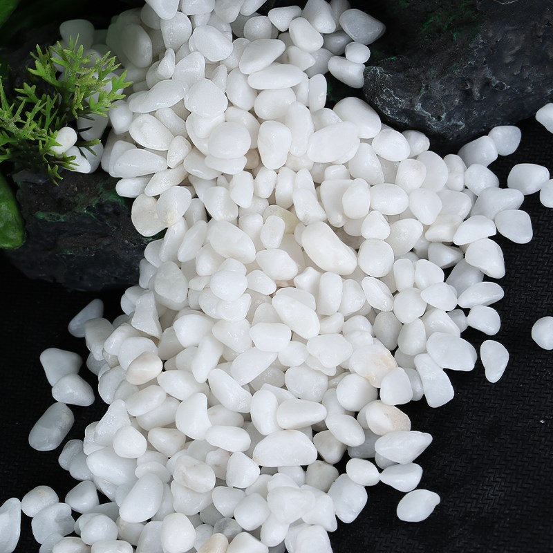 鱼缸底砂白石子免洗小白石子鹅卵石雨花石造景装饰底沙白色石头子