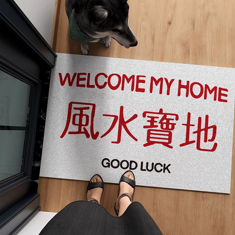 新款趣味文字你空手来啊入户门丝圈地垫防滑地毯蹭土耐磨进门垫子