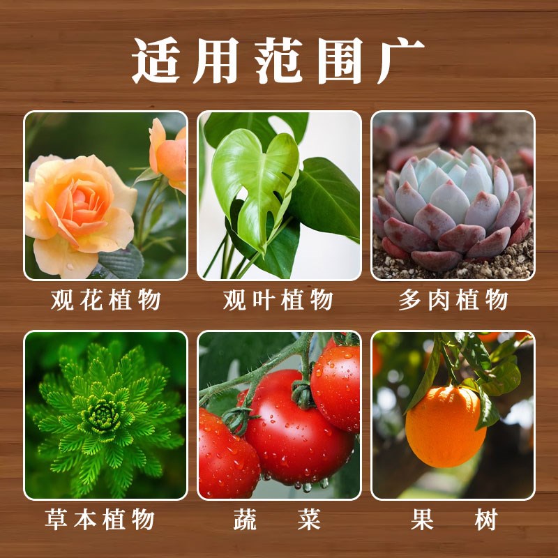 营养土养花专用通用绿植多肉种菜育苗草莓家用椰砖有机营养土泥土