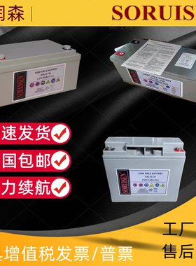 索润森SAL12-100免维护蓄电池12V100AH17AH24AH38AH65A150AH200AH
