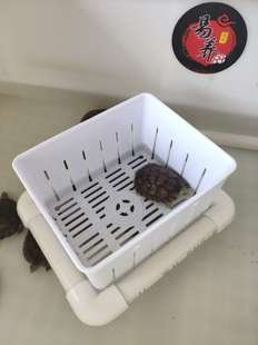 乌龟苗隔离盒多功能塑料龟箱分开养殖盒鱼缸热带鱼孵化盒饲养盒