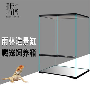 定制拓格超白雨林缸热带生态造景缸爬宠饲养箱双开门桌面雨林缸