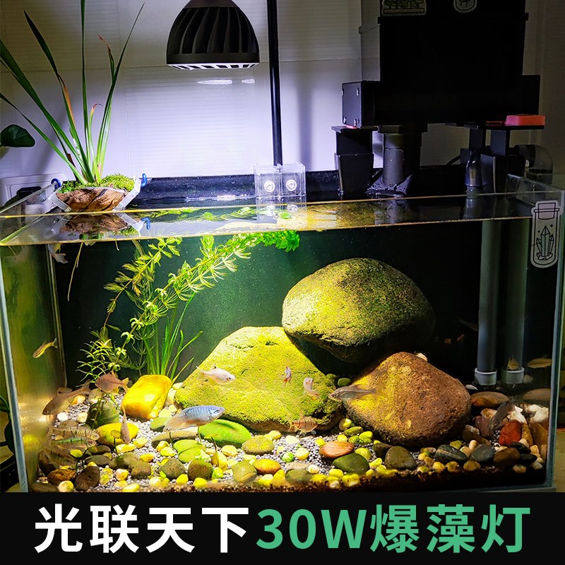 光联天下30W工程款led全光谱原生溪流缸水草植物补光灯鱼缸爆藻灯