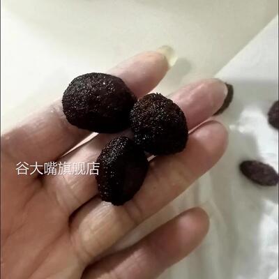 宅十堂丨鲜蜜梅个大鲜杨梅干酸甜九制湿杨梅果脯蜜饯零食