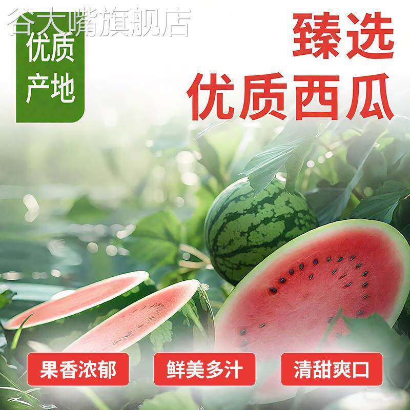 天猫超市NFC麒麟西瓜汁饮料浓缩新鲜100%鲜榨纯果汁冷饮1.25L瓶装