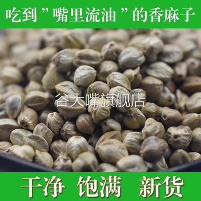 甘肃特产天水麻子大粒人吃食用大颗粒火麻籽新货即食炒货零食