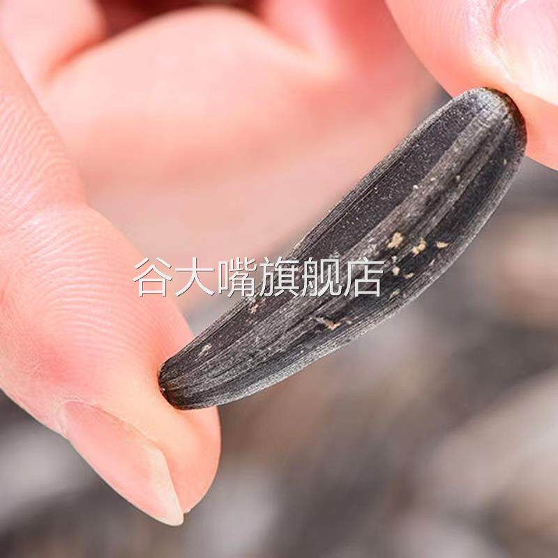 2024新货黑色牙签瓜子黑美人狼牙象牙马牙新疆特产葵花籽特级瓜子