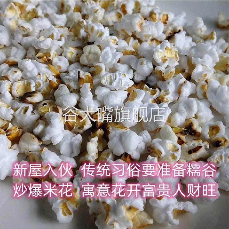 新糯谷带壳长粒稻谷糯米炒爆米花乔迁入伙进宅新居房屋结婚喜庆用